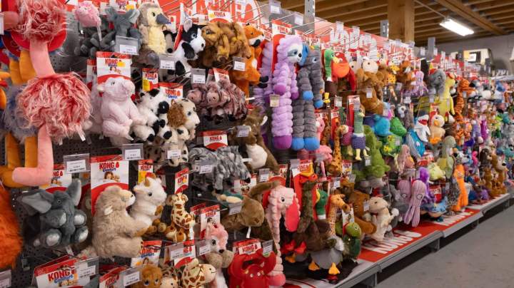 Accessoires pour animaux articles Evreux