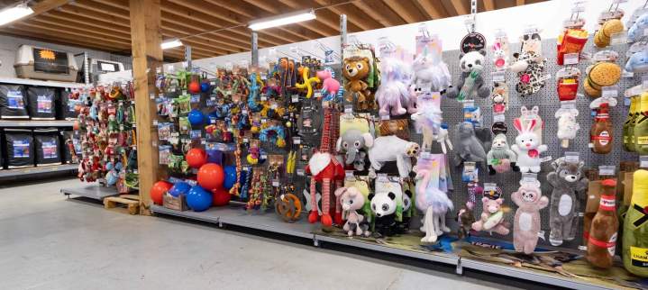 Accessoires pour animaux autour de Evreux