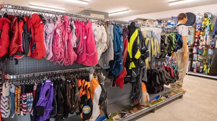 Accessoires pour animaux domestiques Evreux