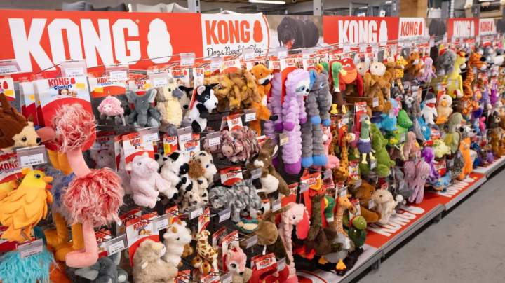 Accessoires pour animaux équipements Evreux