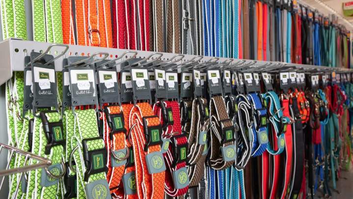 Accessoires pour animaux zone Evreux
