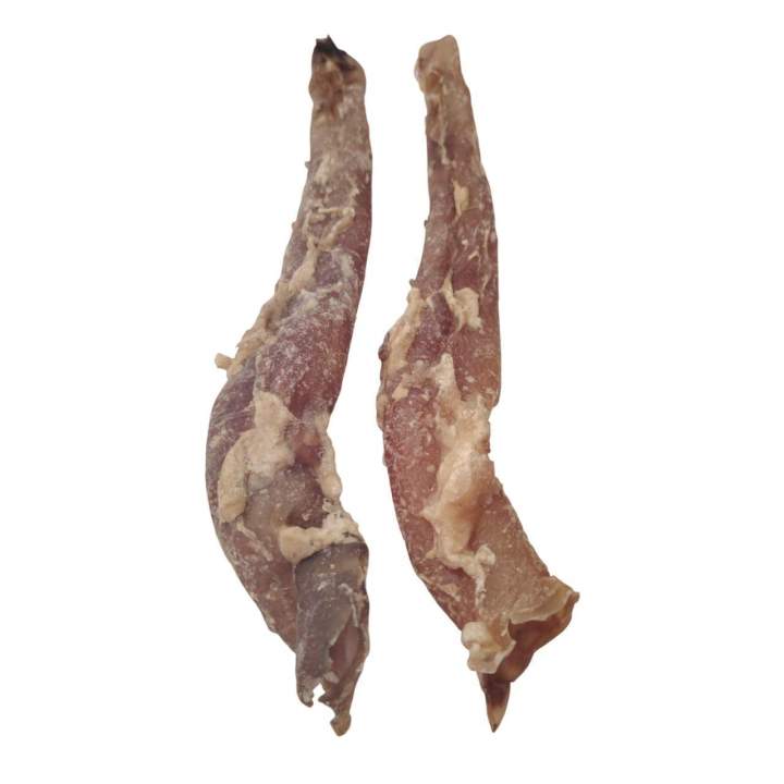 Aorte