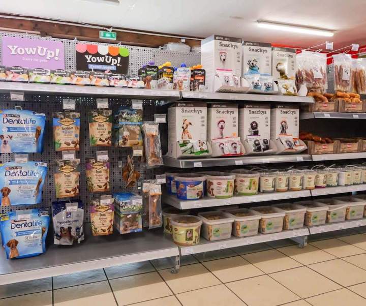 Alimentation chien Évreux