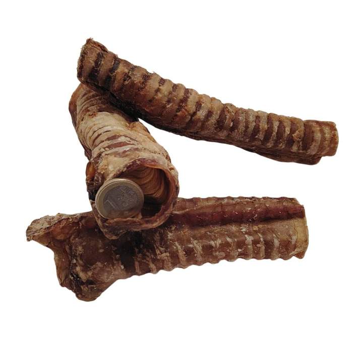 Trachee de Boeuf